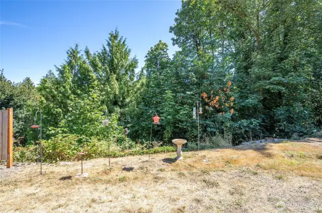Another view of the side yard—bringing nature right to your doorstep.