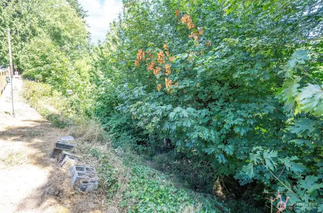 Area behind the fence along the driveway.