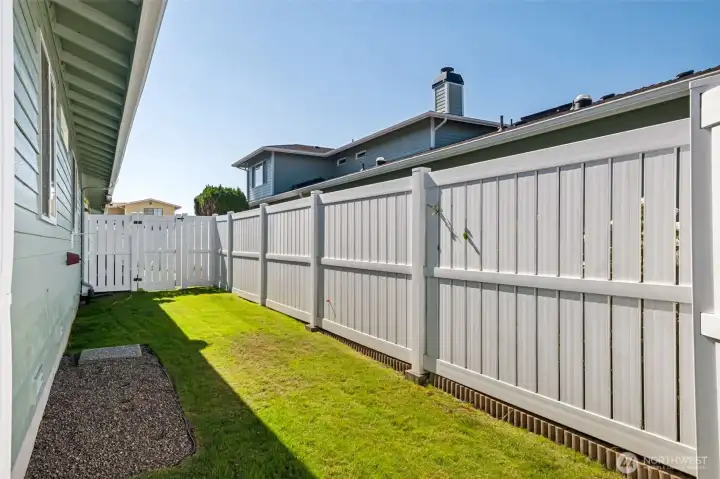 back yard