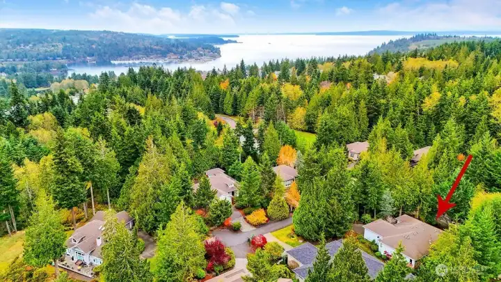 From this aerial view, you can see how the natural beauty of Port Ludlow becomes part of your everyday living experience