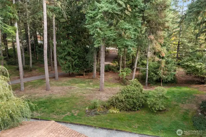 Yard