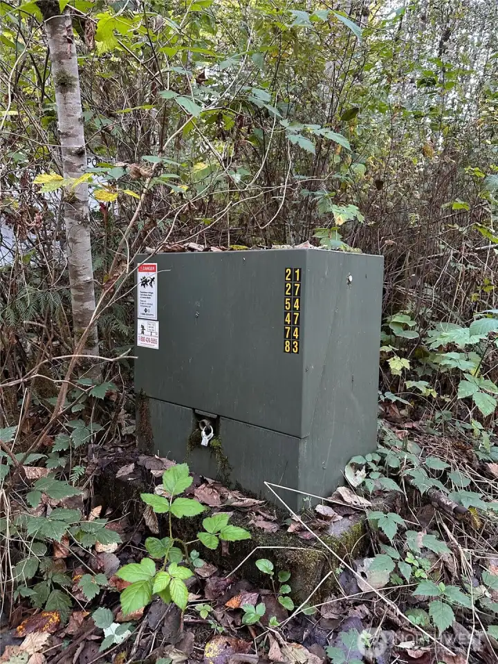 Electricity at street