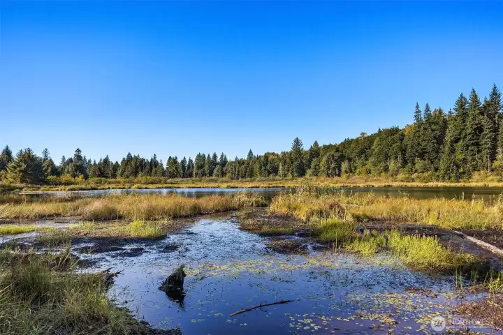 Moss Lake Natural Area, Lake access