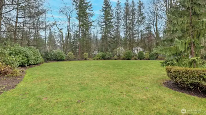 Large level 1-acre lot with lovely trees lining the perimeter