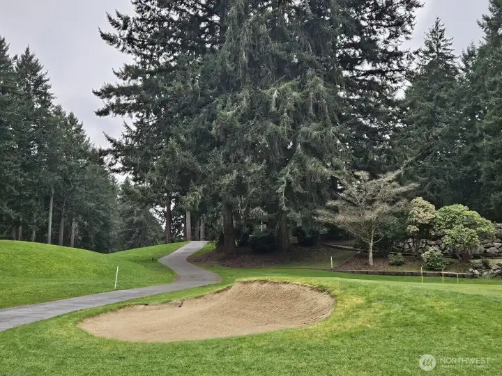 Riviera Club Amenities - Golf Course