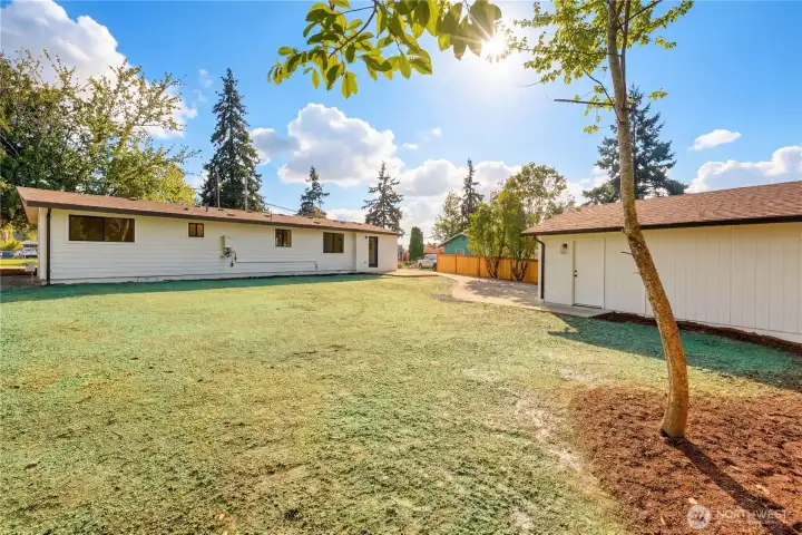 Hydroseed on back lawn