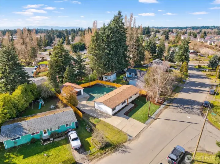 Hydroseed on back lawn