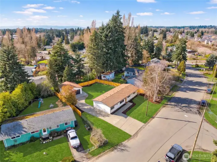 AI enhanced to show growth