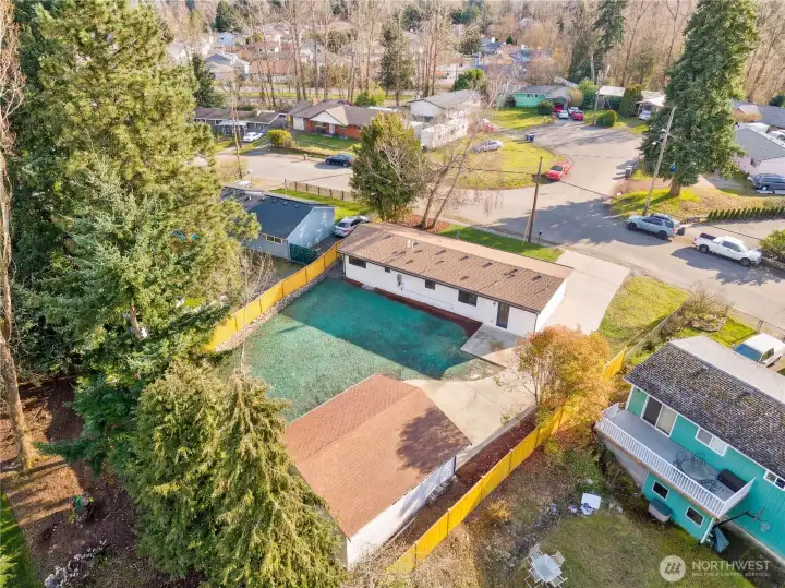 Hydroseed on back lawn