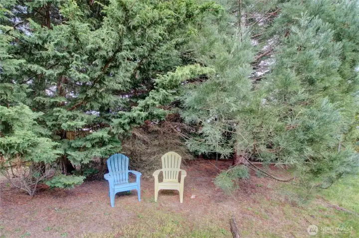 Mature landscaping Mature landscaping