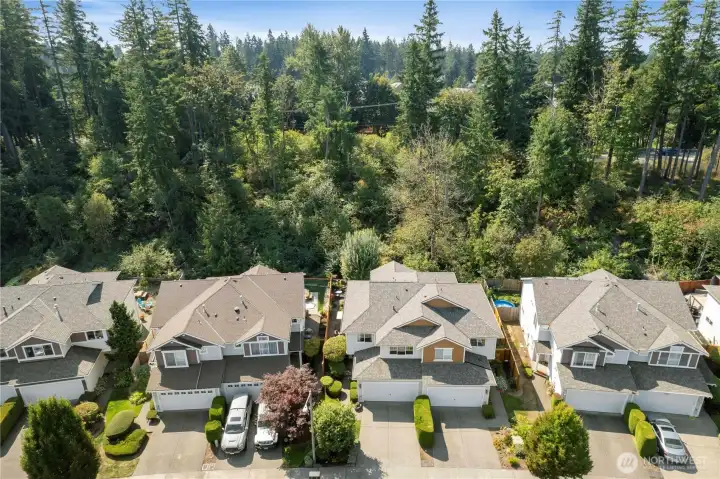 Looking over the homes to the greenbelt.
