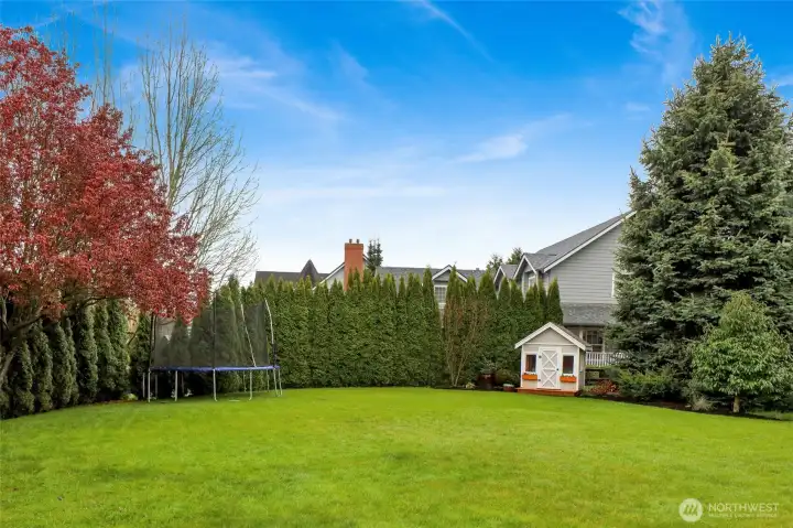 Backyard with open lawn and irrigation system