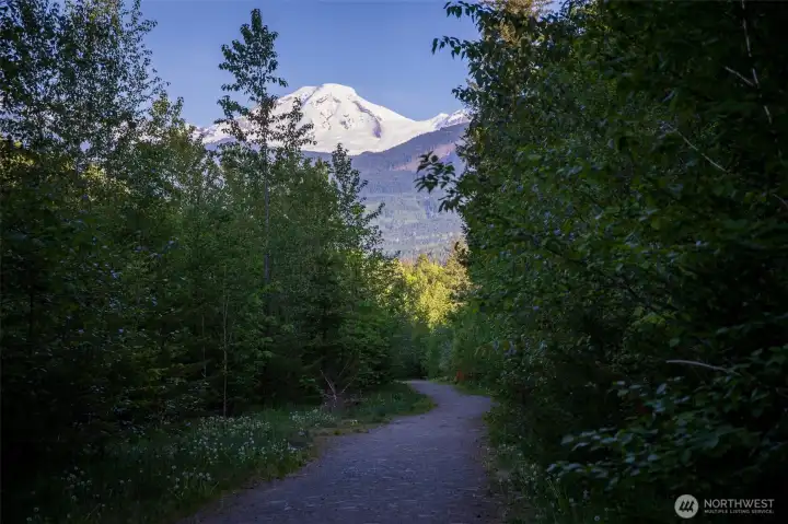 The trail from Glacier Springs to Canyon Creek with extraordinary views of Mt. Baker. The trail from Glacier Springs to Canyon Creek with extraordinary views of Mt. Baker.