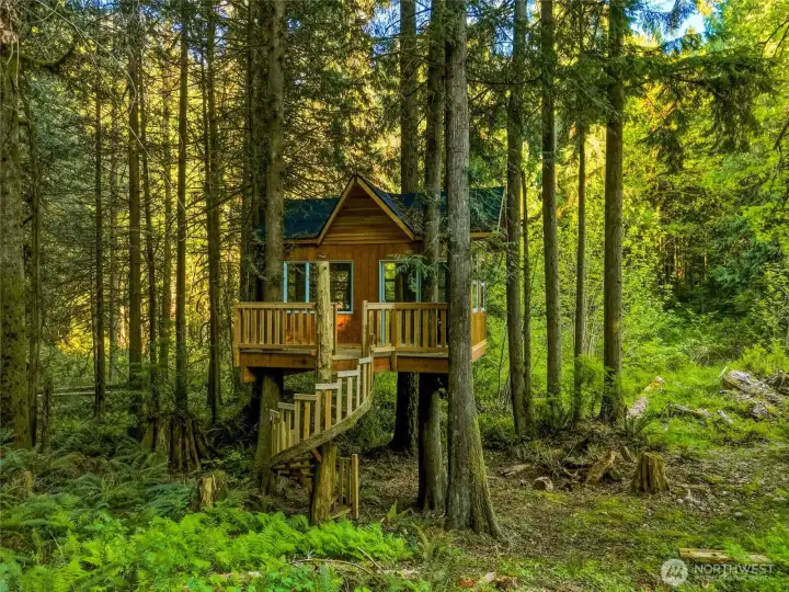 THE Treehouse designed by Pete Nelson of Treehouse Masters from Fall City, Washington!