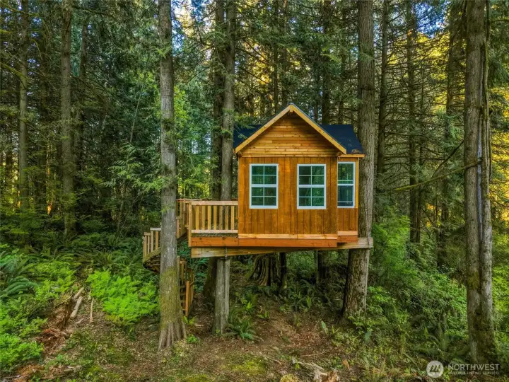 A custom-built treehouse (2026).