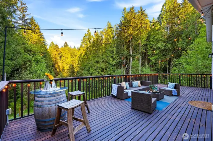 Your backyard oasis.