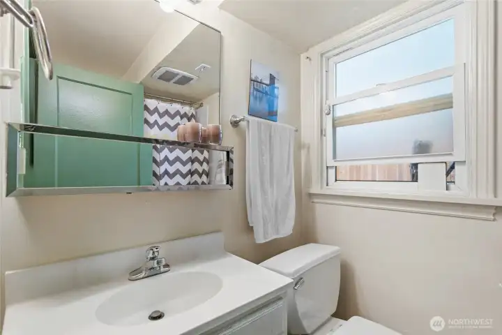 Bathroom (lower unit)