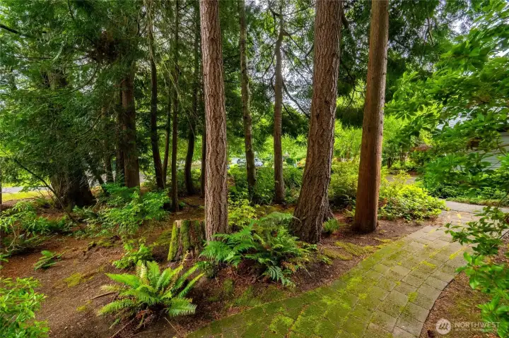 The grove of evergreens in the front of the home make it very private but it still gets a lot of natural sunlight. There is an electrical box with a small water feature...but, one could put uplighting in the trees for a very nice affect, as well!