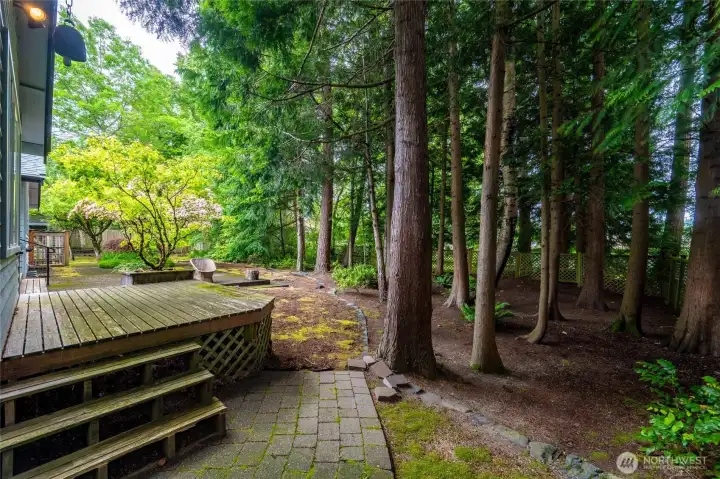 There is a large deck off the rear of the home with a very private and forested area to the north. The yard is full y fenced.