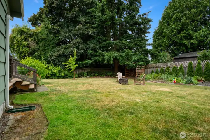 large level lot