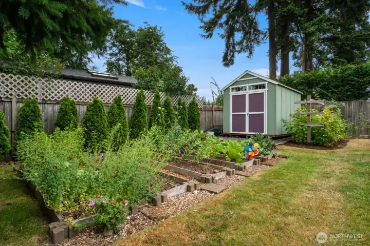 established garden beds growing herbs, veggie & berries, as well as a storage shed