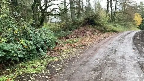 Section of the access road