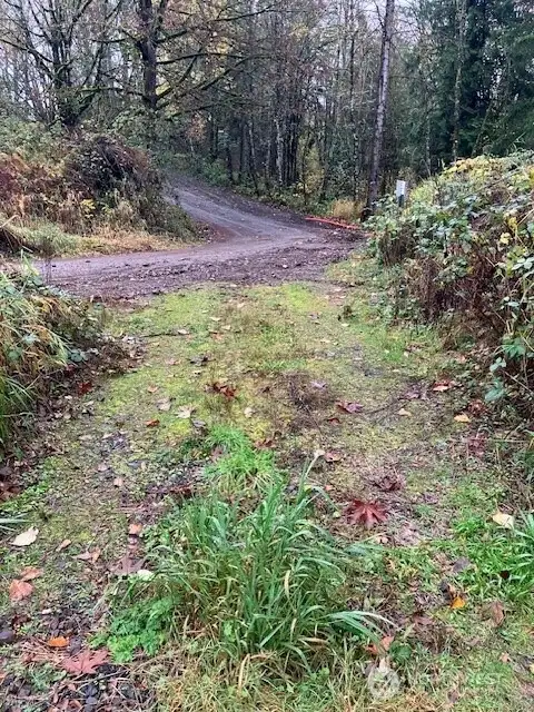 Driveway & access road lower connection