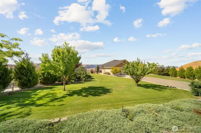 Front yard and driveway.