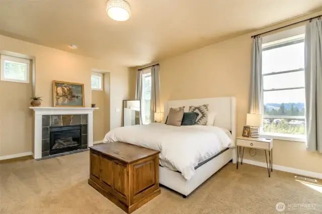 Primary bedroom with gas fireplace adds a cozy but elegant touch!