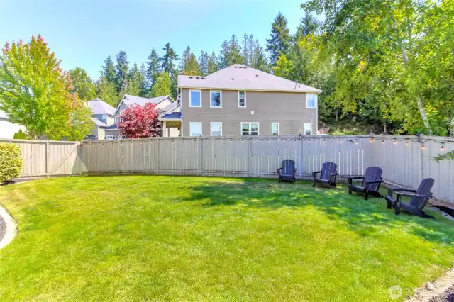 Fully landscaped side yard with room for everyone