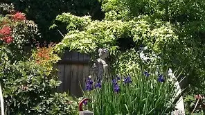 ... Or both? This garden awaits your plans.