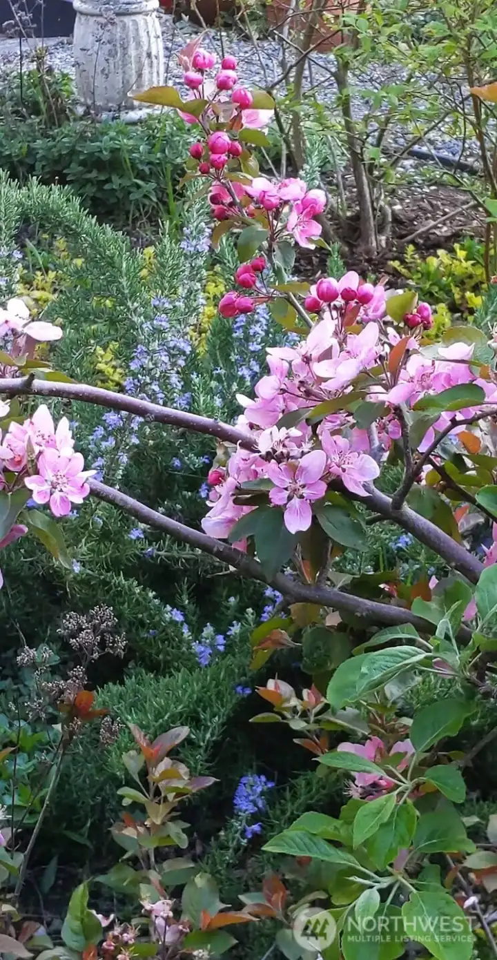 Hidden perennials await a new season of growing.