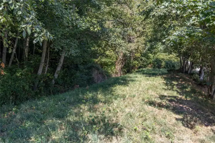 A look back at the driveway area.