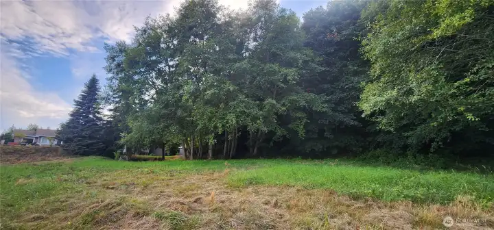 Looking Southwest at the proposed building area. Behind the trees the land slopes upward to the hillside.