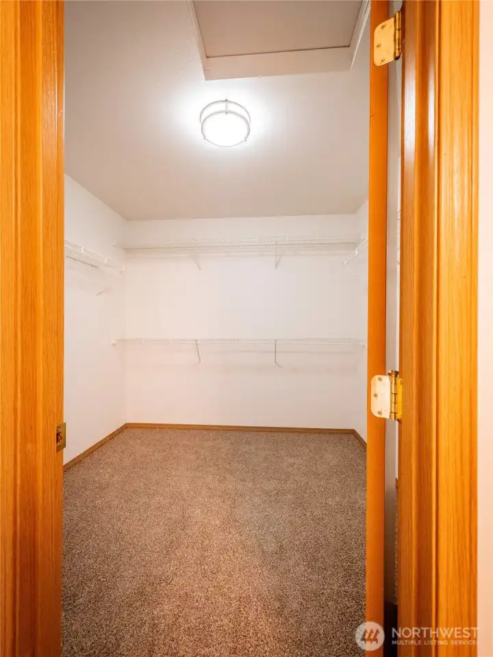 THE WALK IN CLOSET IN PRIMARY...BIGGER THAN MY FIRST APARTMENT