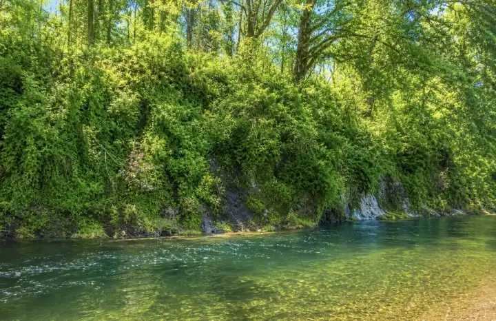 This is a picture of the property from across the river lookin g at the subject river frontage This is a picture of the property from across the river lookin g at the subject river frontage