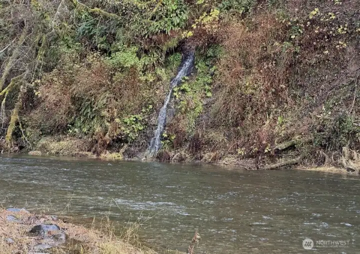 Subject riverbank taken from the opposite side of the fiver