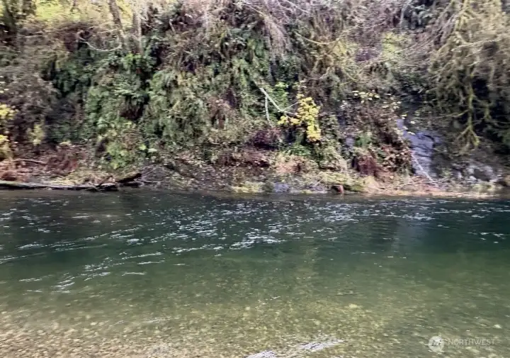 Subject riverbank taken from the opposite side of the fiver