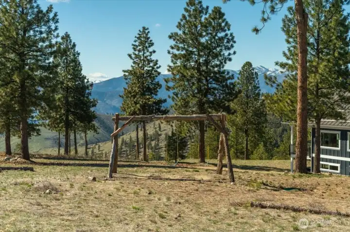 View of Swing set and natural pine-filled setting