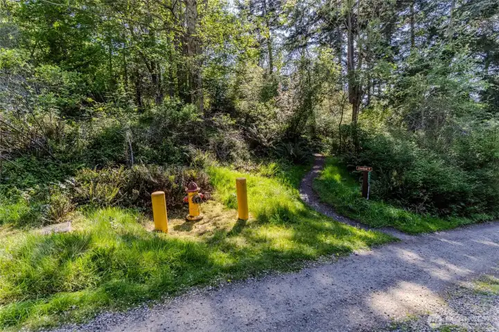 Hydrant easement - walk on trail to find approx lot corners with neon flags