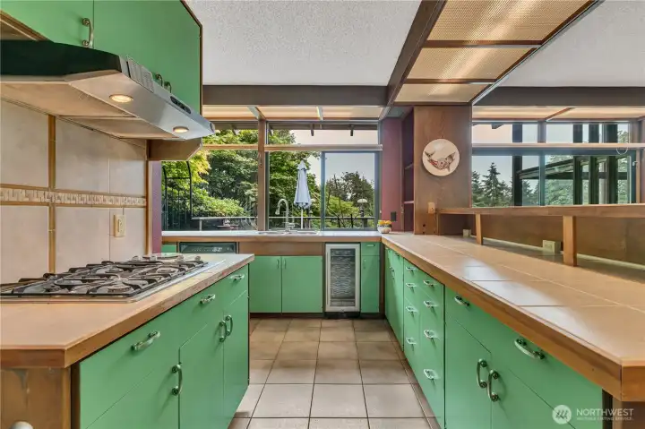 Gas cook top & wine fridge.