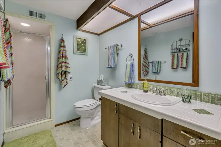Lower-level Bathroom