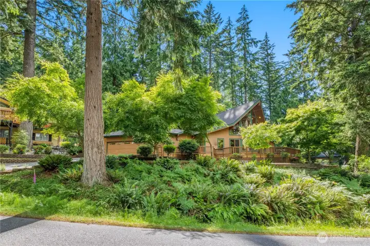Nestled among the evergreens, this property offers a peaceful natural setting with generous outdoor living space and a striking Northwest-inspired design. Nestled among the evergreens, this property offers a peaceful natural setting with generous outdoor living space and a striking Northwest-inspired design.
