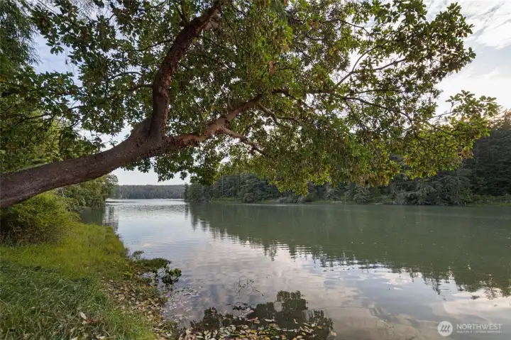 Beautiful shoreline framed by mature trees creates a peaceful setting for enjoying sunsets, birdwatching, and the calm waters of Mitchell Bay.