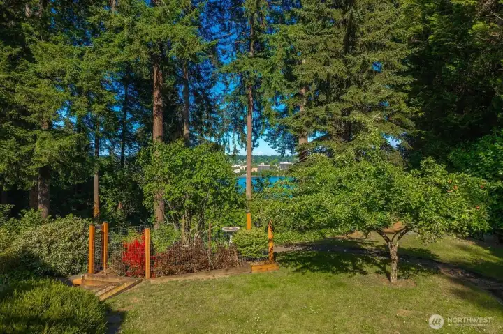 Extensive outdoor spaces for entertaining and quiet contemplation.