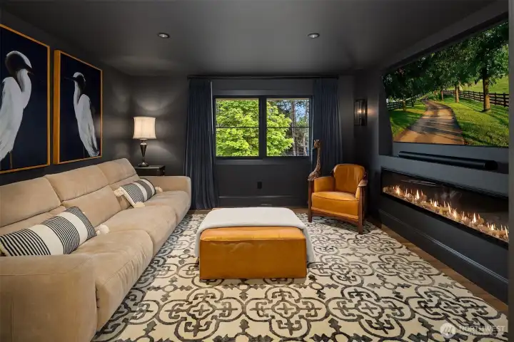 TV room with electric fireplace, blackout drapes, and French casement window with hidden retractable screens.