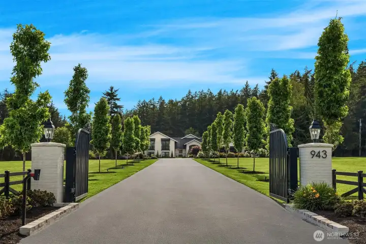 Dramatic entry with irrigated trees and up lighting.