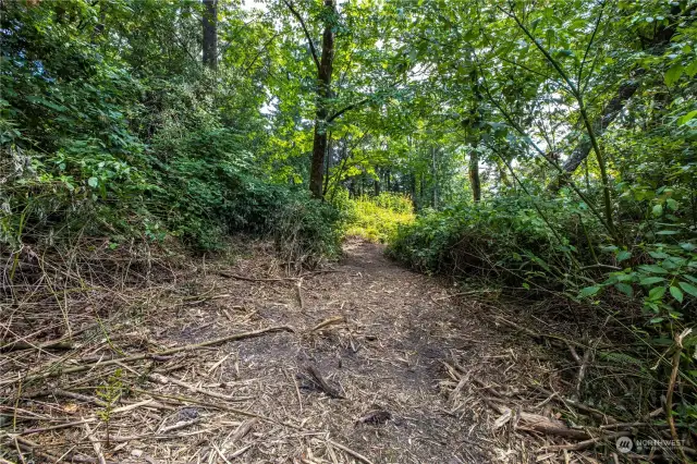 Site is forested. Views of Lake Washington and Mercer Island are expected to open up after construction clearing.