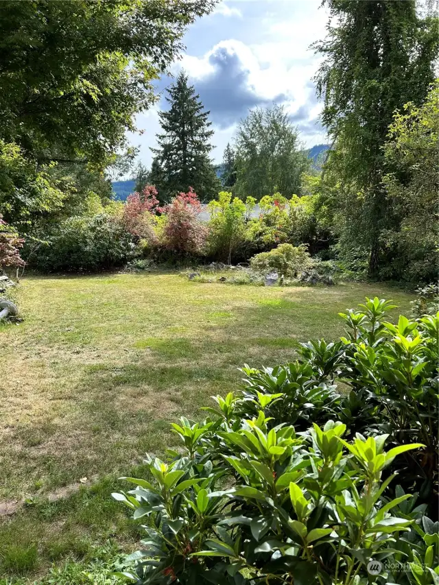 Springtime is beautiful in the front yard hosting rhododendrons, azaleas, lilac and maple trees, snowball trees. a chain of gold tree and wild roses. There's also a non functioning pond in the corner.