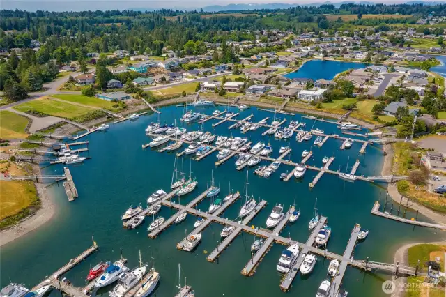 Another view of the Marina